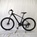 29 inch aluminium downhill mountain bicycle / kids mountain bike / double wall alloy rim mountain cycle mountainbike for sale